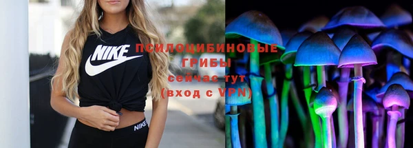 винт Саяногорск