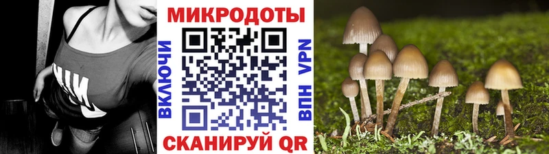 Псилоцибиновые грибы мухоморы Певек
